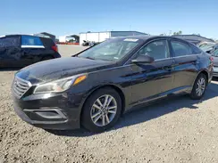 5NPE24AF3HH574729 2017 HYUNDAI SONATA