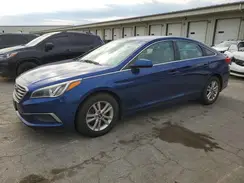 5NPE24AF3HH596066 2017 HYUNDAI SONATA