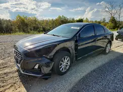 5NPE24AF3JH607041 2018 HYUNDAI SONATA