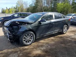 5NPE24AF3JH672181 2018 HYUNDAI SONATA