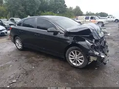 5NPE24AF3KH728976 2019 HYUNDAI SONATA