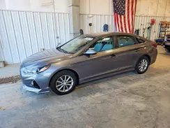 5NPE24AF3KH732283 2019 HYUNDAI SONATA