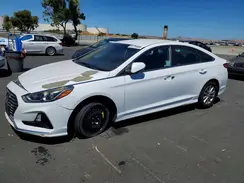 5NPE24AF3KH736057 2019 HYUNDAI SONATA