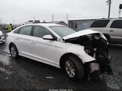5NPE24AF3KH736219 2019 HYUNDAI SONATA