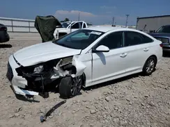 5NPE24AF3KH741064 2019 HYUNDAI SONATA