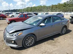 5NPE24AF3KH741243 2019 HYUNDAI SONATA