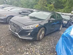 5NPE24AF3KH741954 2019 HYUNDAI SONATA