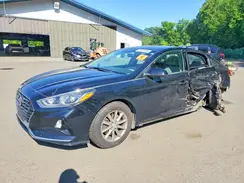 5NPE24AF3KH753537 2019 HYUNDAI SONATA