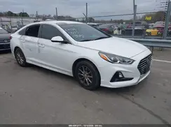 5NPE24AF3KH767065 2019 HYUNDAI SONATA