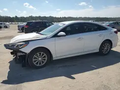 5NPE24AF3KH767437 2019 HYUNDAI SONATA