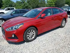 5NPE24AF3KH769186 2019 HYUNDAI SONATA
