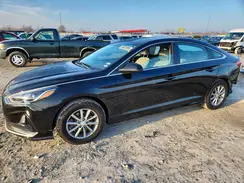 5NPE24AF3KH775005 2019 HYUNDAI SONATA