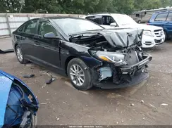 5NPE24AF3KH776963 2019 HYUNDAI SONATA