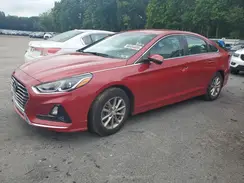 5NPE24AF3KH785694 2019 HYUNDAI SONATA