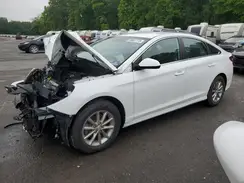 5NPE24AF3KH789177 2019 HYUNDAI SONATA