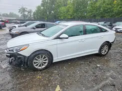 5NPE24AF3KH789843 2019 HYUNDAI SONATA