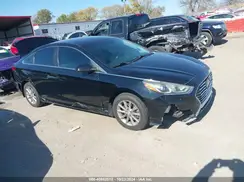 5NPE24AF3KH790197 2019 HYUNDAI SONATA