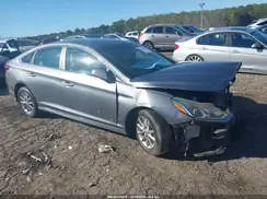 5NPE24AF3KH790717 2019 HYUNDAI SONATA
