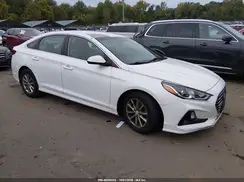 5NPE24AF3KH791981 2019 HYUNDAI SONATA