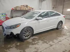 5NPE24AF3KH795223 2019 HYUNDAI SONATA