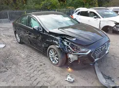 5NPE24AF3KH801389 2019 HYUNDAI SONATA