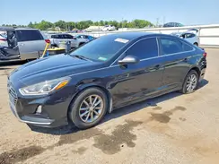 5NPE24AF3KH801604 2019 HYUNDAI SONATA