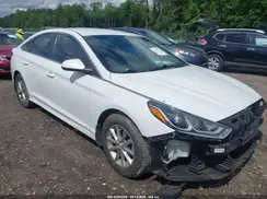5NPE24AF3KH803241 2019 HYUNDAI SONATA