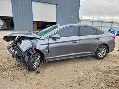 5NPE24AF3KH805359 2019 HYUNDAI SONATA