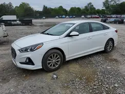 5NPE24AF3KH812487 2019 HYUNDAI SONATA