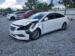 5NPE24AF4GH260442 2016 HYUNDAI SONATA
