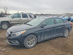 5NPE24AF4GH262997 2016 HYUNDAI SONATA