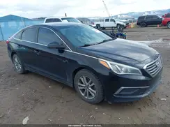 5NPE24AF4GH263874 2016 HYUNDAI SONATA