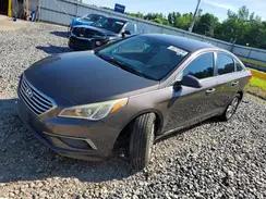 5NPE24AF4GH264216 2016 HYUNDAI SONATA