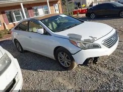 5NPE24AF4GH272879 2016 HYUNDAI SONATA