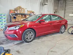 5NPE24AF4GH277046 2016 HYUNDAI SONATA