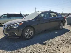 5NPE24AF4GH280769 2016 HYUNDAI SONATA