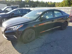 5NPE24AF4GH281372 2016 HYUNDAI SONATA