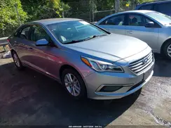 5NPE24AF4GH281954 2016 HYUNDAI SONATA