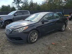 5NPE24AF4GH282585 2016 HYUNDAI SONATA