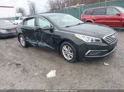 5NPE24AF4GH286264 2016 HYUNDAI SONATA