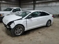 5NPE24AF4GH287804 2016 HYUNDAI SONATA