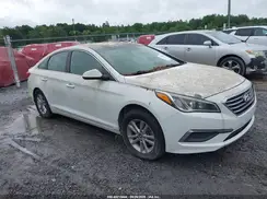 5NPE24AF4GH289164 2016 HYUNDAI SONATA