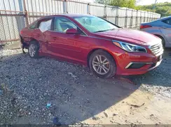 5NPE24AF4GH291531 2016 HYUNDAI SONATA
