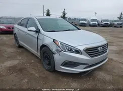 5NPE24AF4GH292498 2016 HYUNDAI SONATA