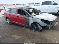 5NPE24AF4GH293828 2016 HYUNDAI SONATA