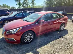 5NPE24AF4GH296552 2016 HYUNDAI SONATA