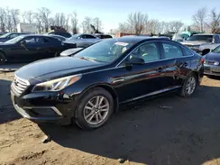 5NPE24AF4GH297426 2016 HYUNDAI SONATA