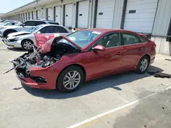 5NPE24AF4GH300647 2016 HYUNDAI SONATA