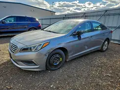 5NPE24AF4GH304181 2016 HYUNDAI SONATA