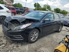 5NPE24AF4GH306187 2016 HYUNDAI SONATA